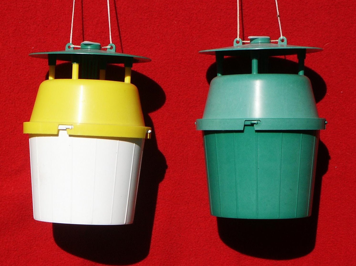Bucket traps used in 2002